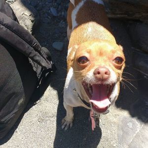 Meet your Posher, Scott